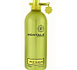 Attar Montale